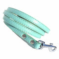 Classic Dog Leads - Blue, Small - Uspethaven