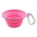 Silicone Collapsible Travel Bowl - Uspethaven