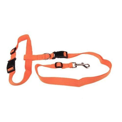 pet dog leash - Uspethaven