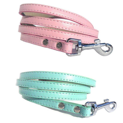 Classic Dog Leads - Blue, Small - Uspethaven